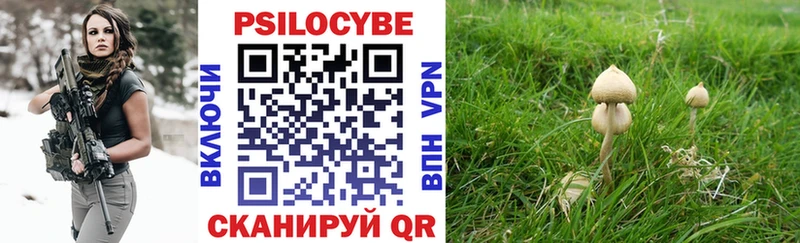 Псилоцибиновые грибы мухоморы  закладка  Изобильный 
