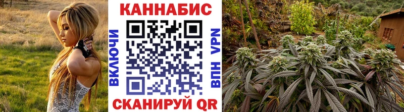 Бошки марихуана тримм  MEGA как зайти  Изобильный  где найти наркотики 